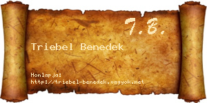 Triebel Benedek névjegykártya